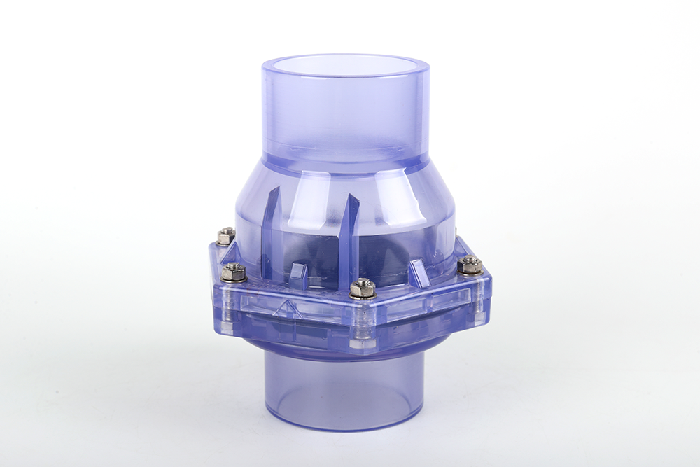 吴桥透明翻板式止回阀